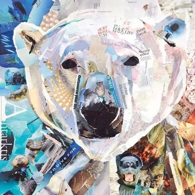 Framed Canvas Art - Polar Bear by James Grey ( Animal Art > Wildlife > Bears > Polar Bears art)