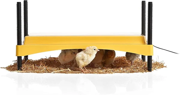 Brinsea EcoGlow Safety 1200 Chick Brooder