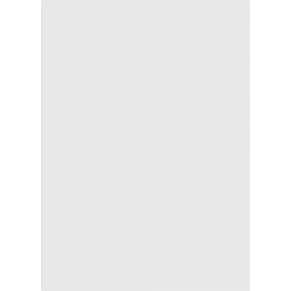 Ekena Millwork GVPVE28X4201SN 28x22W x 42x22H Vertical Surface Mount PVC Gable Vent: Non-Functional, w/ 3-1/2x22W x 1x22P Standa