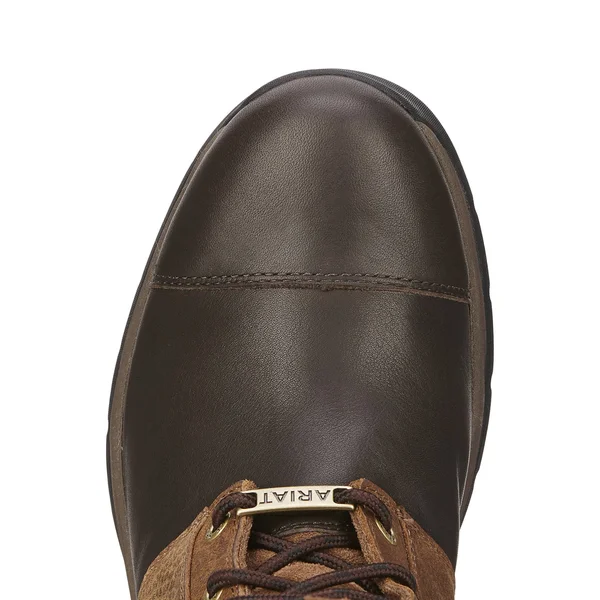 Ariat Berwick GTX Insulated Boot - Women's Ebony - 9.5
