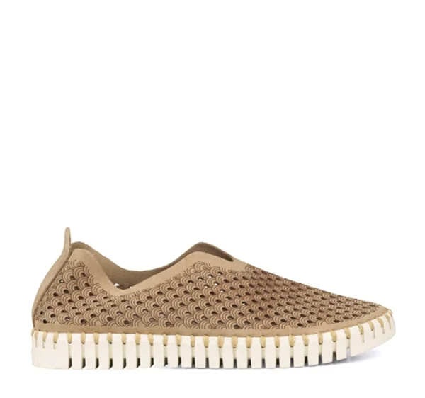Ilse Jacobsen Tulip