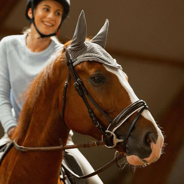 Horze Grayson Snaffle Bridle Pony - Dark Brown