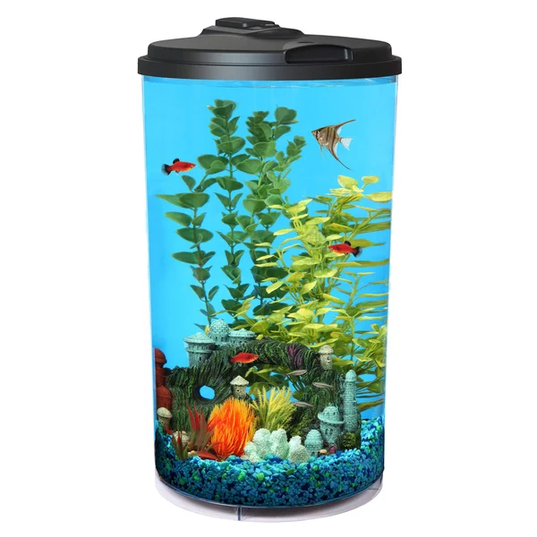 Koller Products Tropical 360 View Aquarium Starter Kit, 6-Gal
