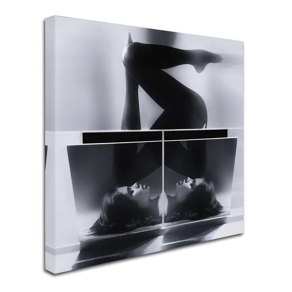 Trademark Fine Art 1X02875-C1818Gg Matthias Mempel 'Twins' Canvas Art