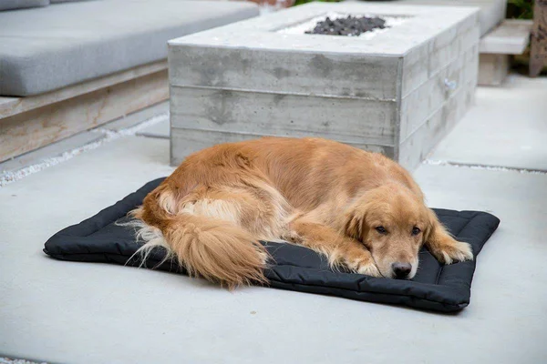 Tough Crate Pad - K9 Ballistics, Chew Resistant and More, Black, Small (29x22x18x22)