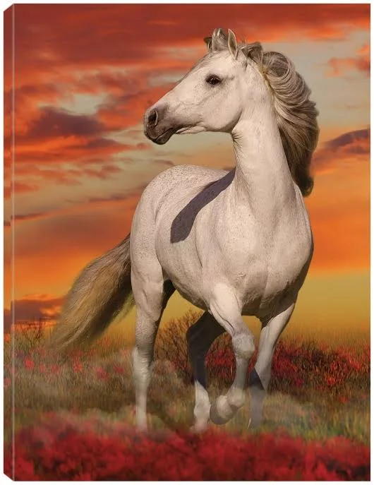 Fantasy Horses 38 Canvas Art by Bob Langrish 24x32 Fineartcanvas