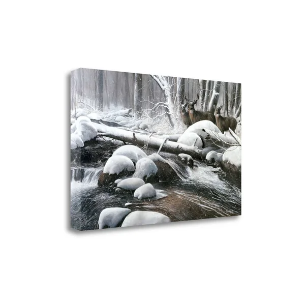 Tangletown Fine Art 'Winter Silence' Photographic Print on Canvas - White