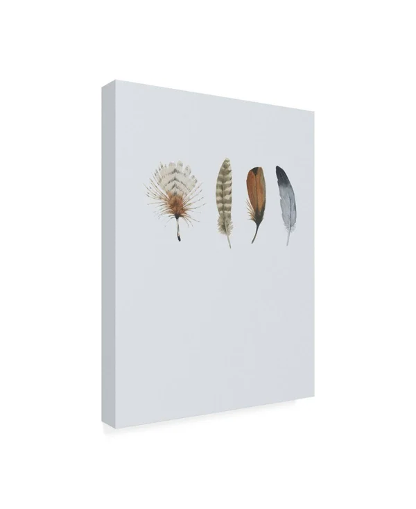 Trademark Fine Art Ic01715-C1824Gg Incado 'Feather 12' Canvas Art, 18X2