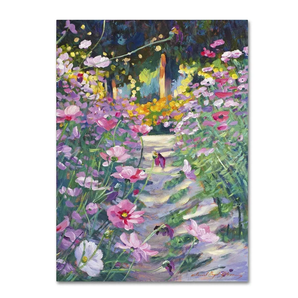Trademark Fine Art Garden Path of Cosmos Canvas Art by David Lloyd Glover, Size: 18 x 24