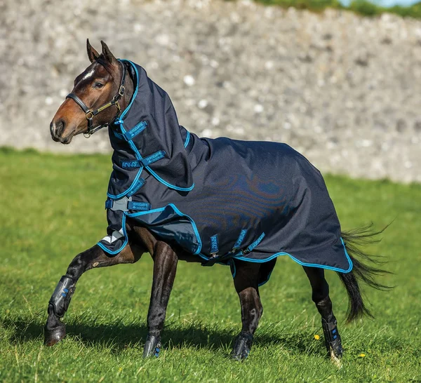 Amigo Bravo 12 Plus Turnout Bundle 75 Navy/Blue