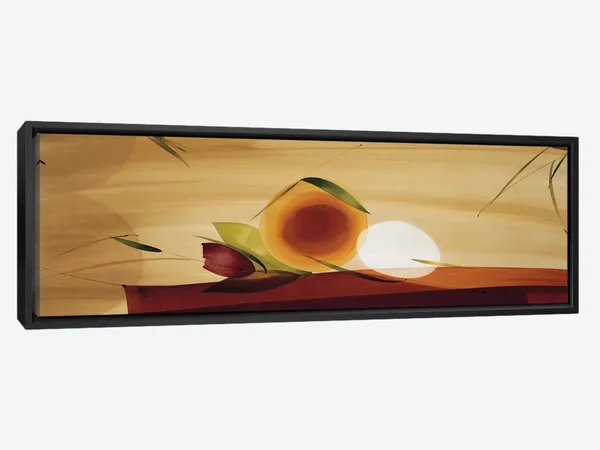 Panoramic Framed Canvas Art - Frutos De La Pasion II by Lola Abellan ( Floral & Botanical art)