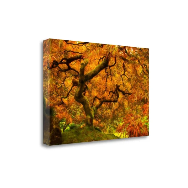 26x22 x 39x22 Wild Fire by Natalie Mikaels Fine Art Giclee Print