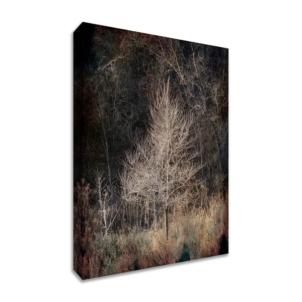 ILLUMINATION, 38x22 x 57x22 Fine Art Giclee Print on Gallery Wrap