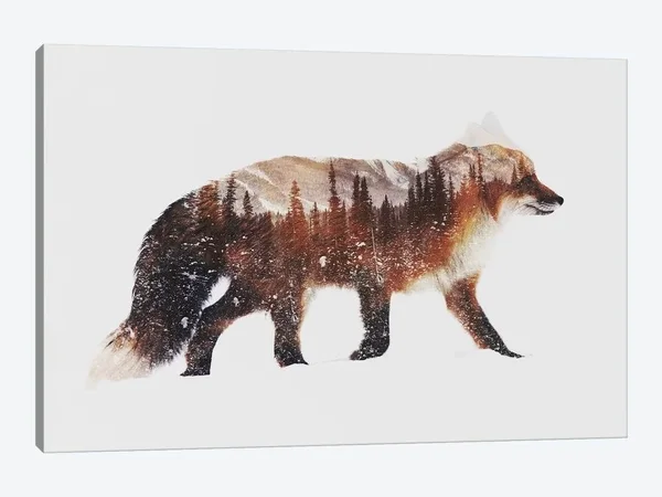 Arctic Canvases by iCanvas - Arctic Red Fox Gallery-Wrapped Canvas