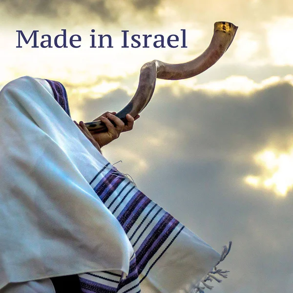 20x22-22x22 Yemenite Kudu Shofar - Natural