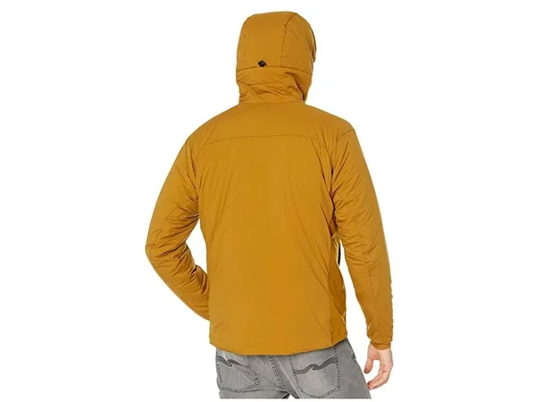Arc&teryx Atom LT Hoody - Men's