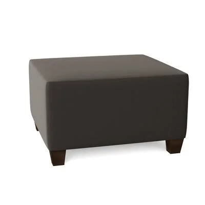 Birch Lane Lise 29x22 Rectangle Standard Ottoman Body Fabric: Spinnsol Iron