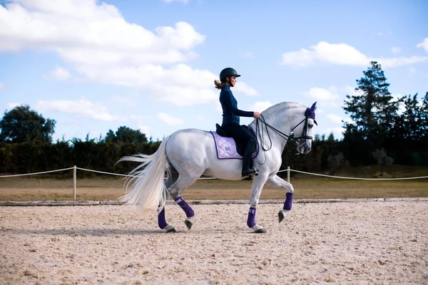 Equestrian Stockholm Fleece Bandages Lavender