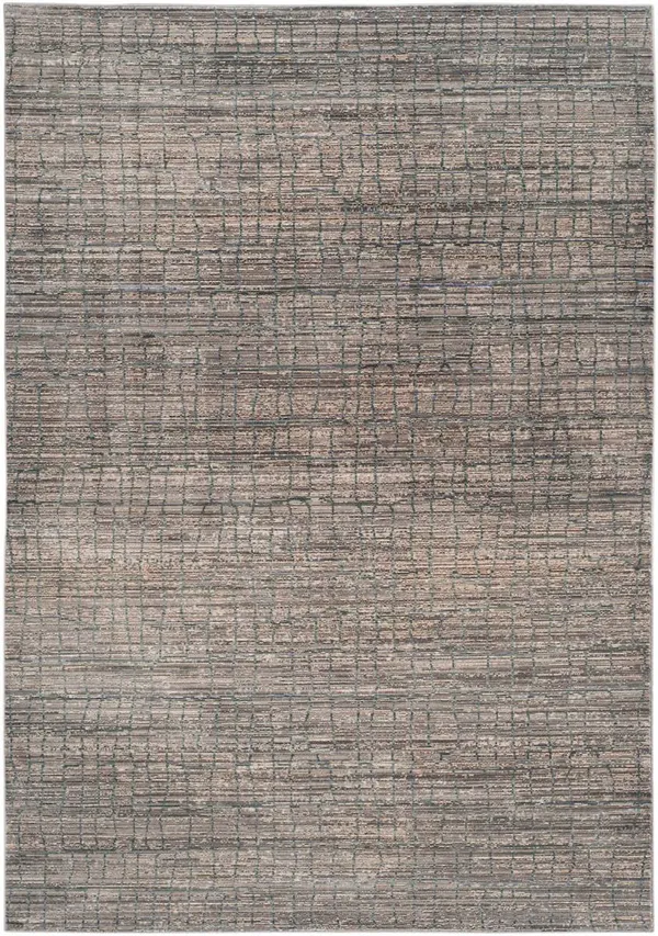 Safavieh Valencia VAL202C Grey - Multi 5& x 8& Area Rug