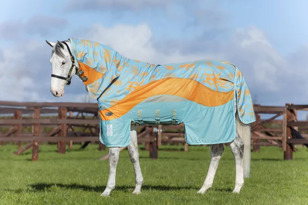 Amigo Three-In-One Evolution Fly Sheet 84 Aqua/Orange