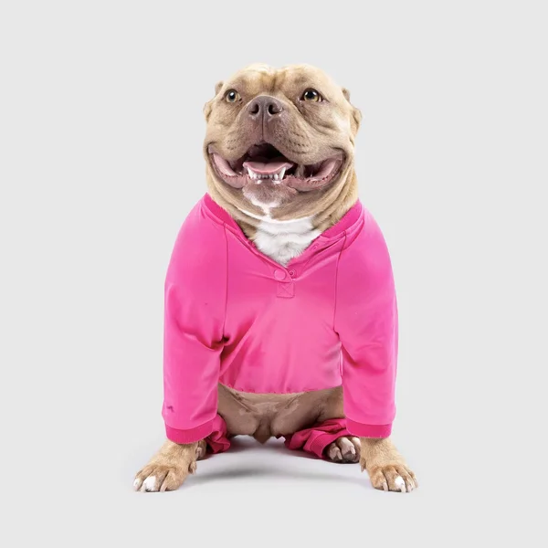 Tear-A-Way Onesie - Black - Canada Pooch