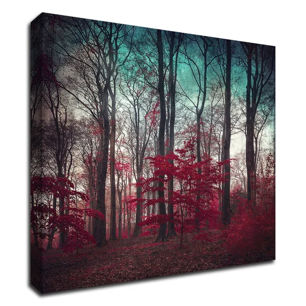 Tangletown Fine Art A Maze by Dirk Wustenhagen, Print on Canvas, Ready to Hang