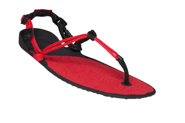 Xero Shoes - Cloud Barefoot Sandal - Men's 9, Charcoal/Black