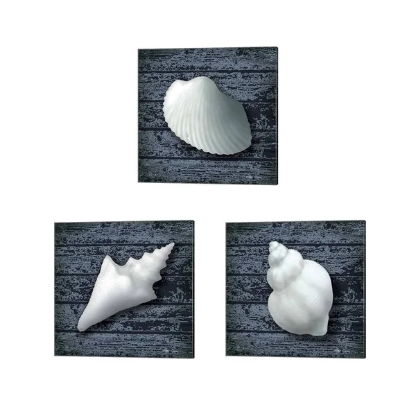 Great Art Now Seashore Shells Navy by Marie-Elaine Cusson 3 Piece Canvas Art Set Each 14W x 14H, Size: 14 x 14, White