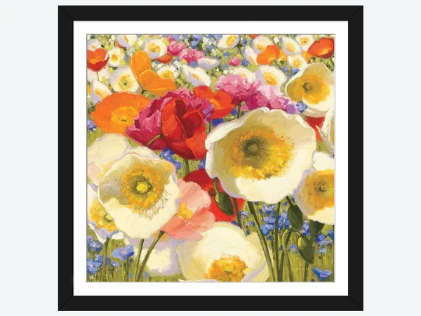 Framed Poster Prints - Sunny Abundance by Shirley Novak ( Floral & Botanical > Flowers > Poppies art)