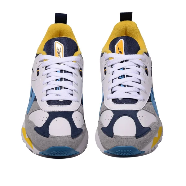 [DV8301] Mens Reebok Classic Leather RC 1.0 11.5