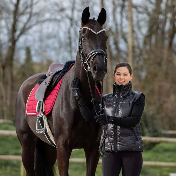 Horze Grayson Snaffle Bridle Pony - Dark Brown