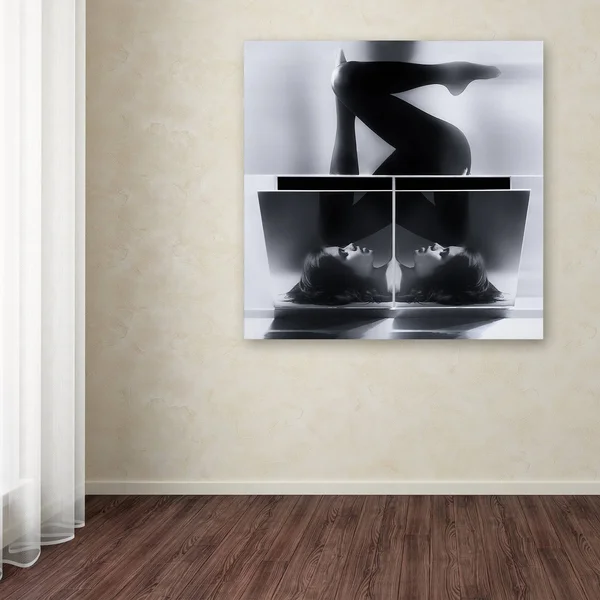 Trademark Fine Art 1X02875-C1818Gg Matthias Mempel 'Twins' Canvas Art