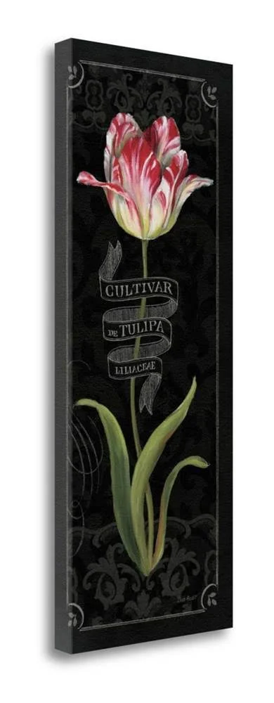 32x22 x 13x22 Tulipa Botanica III by Lisa Audit Fine Art Giclee Print