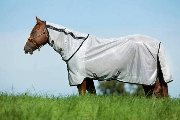 Amigo Stock Horse Flysheet - Silver/Black