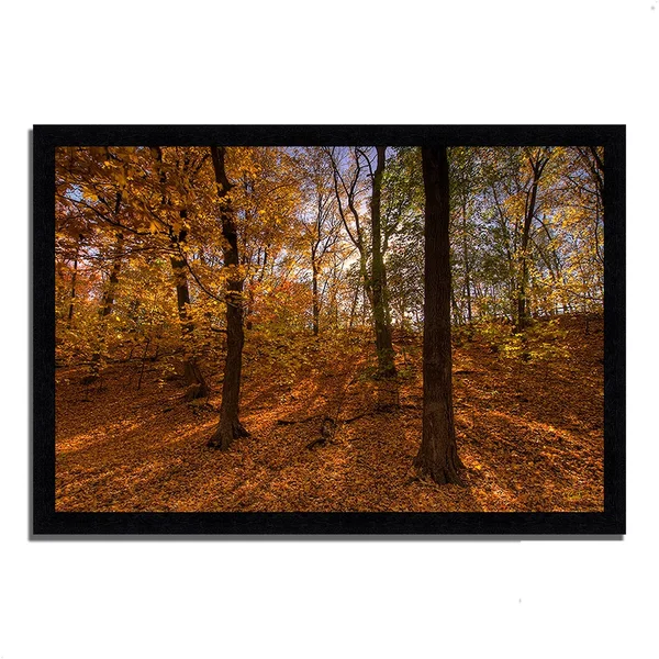 32x22 x 47x22 Sun Spackled Wood Framed Photograph Print