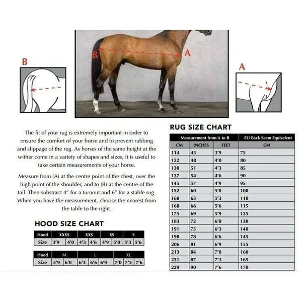 Amigo Bravo 12 Original Turnout Blanket (250g Medium)