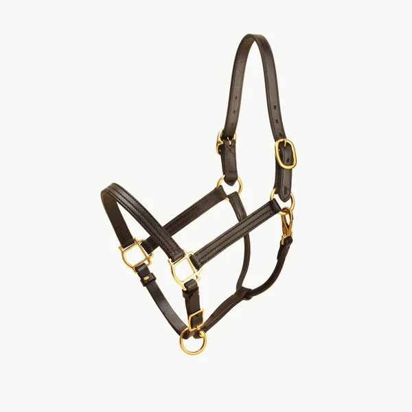 Tory Leather Triple Stitched Halter - Snap & Brass Hardware - Black