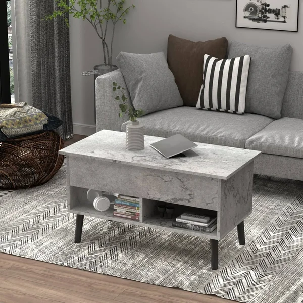 FUFUu0026GAGA Modern Lift Top Coffee Table with Storage Drawers - Grey