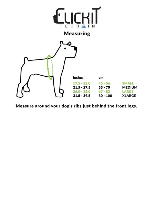 Sleepypod Clickit Terrain Plus Safety Harness-Charcoal-Small