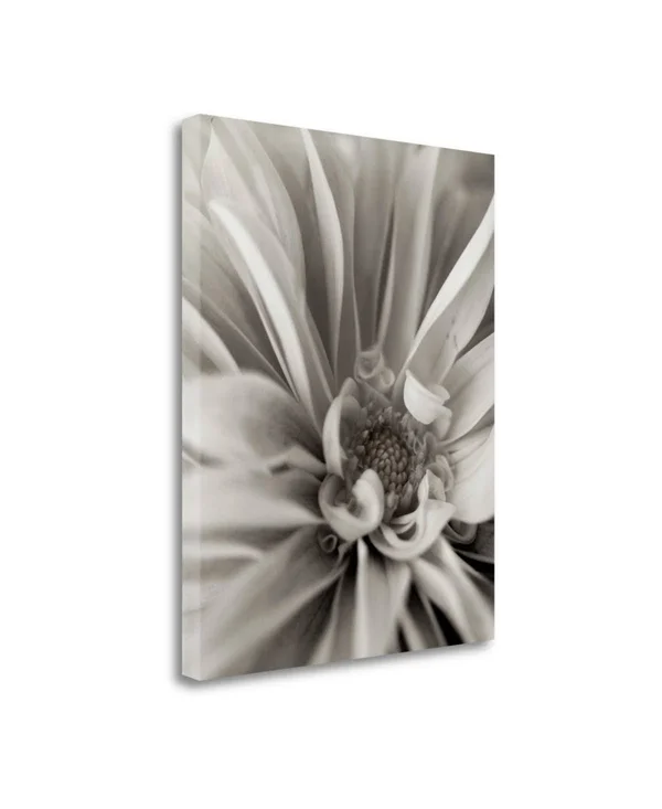 27x22 x 21x22 Florison - 21 by Alan Blaustein Fine Art Giclee Print