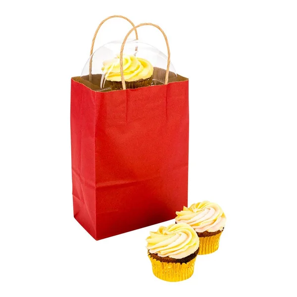 Saving Nature Red Paper Large Shopping Bag - 16 inch x 9 3/4 inch x 17 1/4 inch - 100 Count Box