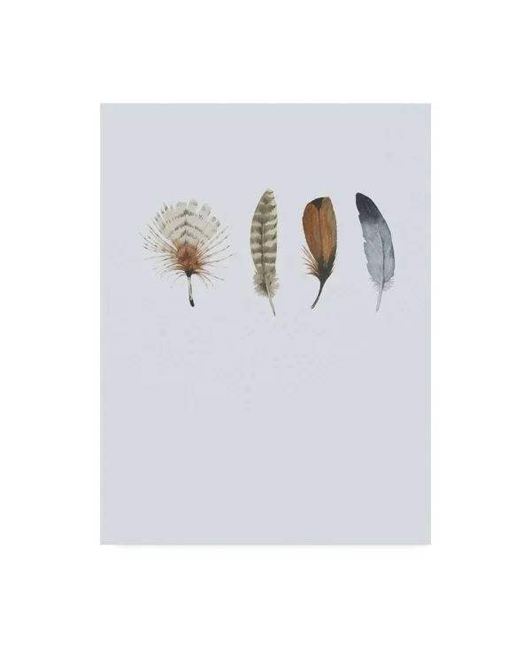 Trademark Fine Art Ic01715-C1824Gg Incado 'Feather 12' Canvas Art, 18X2
