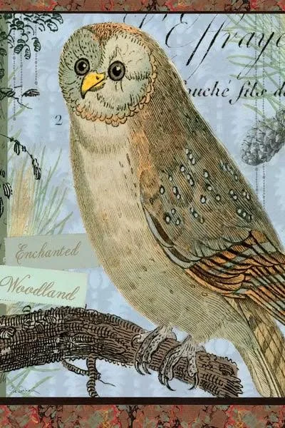 Framed Canvas Art - Enchanted Woodland by Sue Schlabach ( Animal Art > Birds > Owls art)