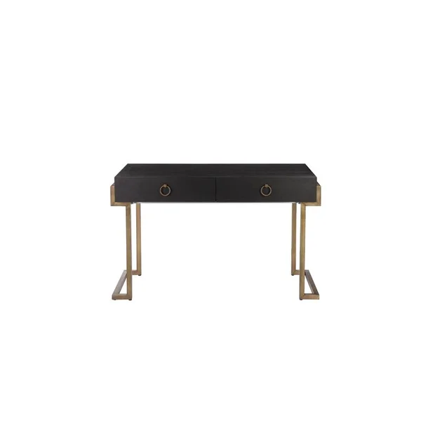 Pangea Home Julia Stainless Steel Desk in Black Ash Veneer & Brass