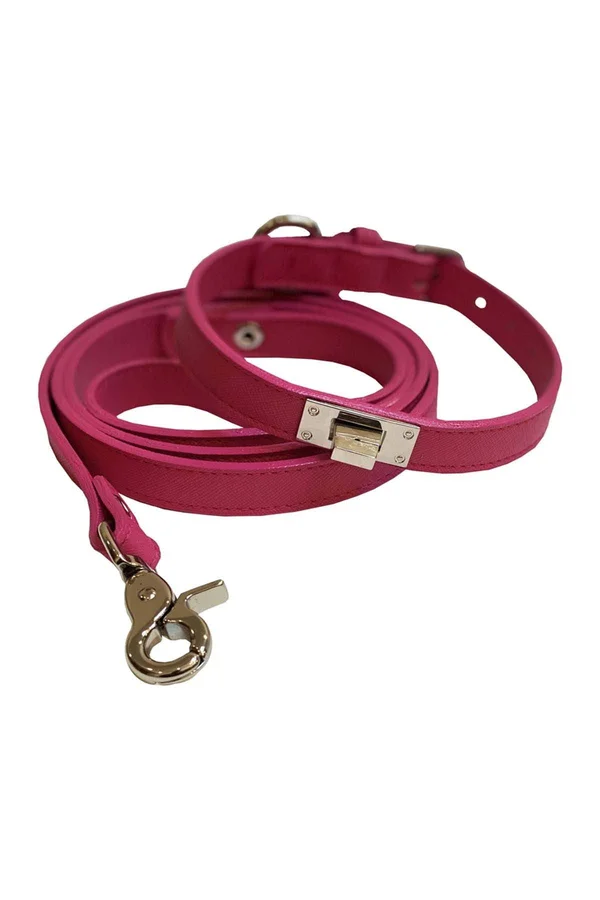 Dogs of Glamour Charlotte Luxury Leash & Collar Set - Medium in Pink at Nordstrom Rack
