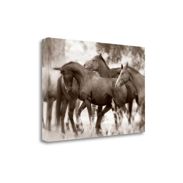 24x22 x 36x22 The Herd by Lisa Dearing Fine Art Giclee Print