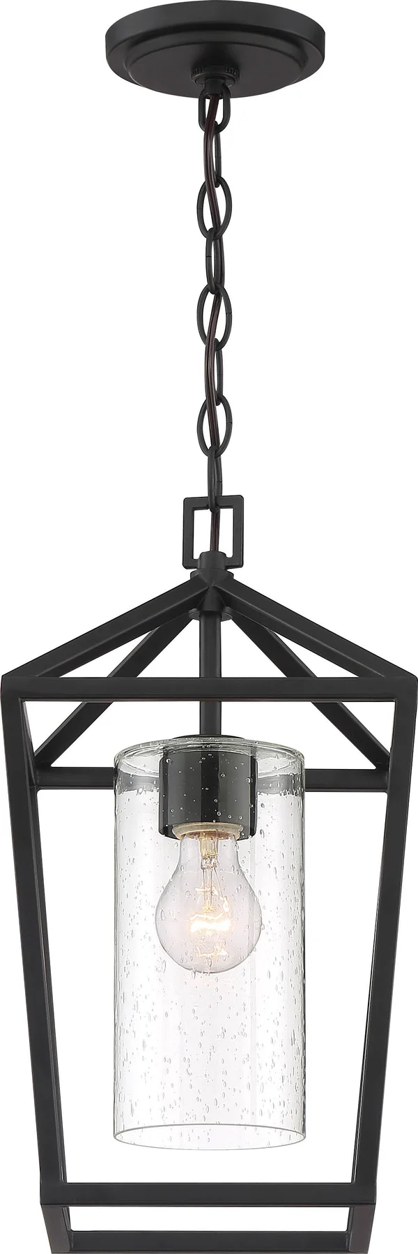 Nuvo Lighting 60/6594 Hopewell 1 Light Hanging Lantern Matte Black