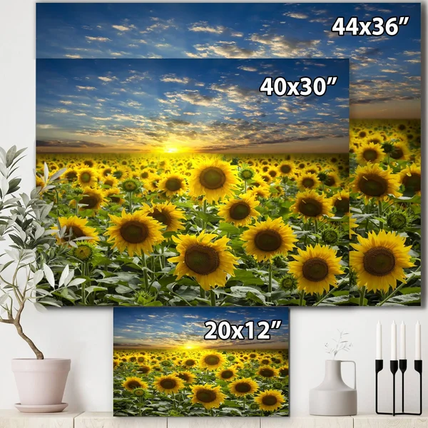 Design Art Field of Blooming Sunflowers Photographic Print on Wrapped Canvas - Green