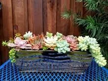H Potter Planter Rectangular Flower Pot Indoor Outdoor Window Box Set of Two Black Nickel