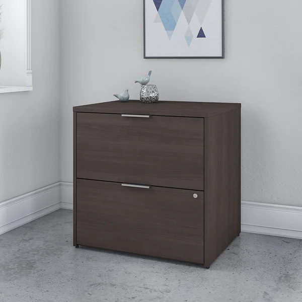 Bush Business Furniture Jamestown 2 Drawer Lateral File Cabinet - Assembled, Storm Gray